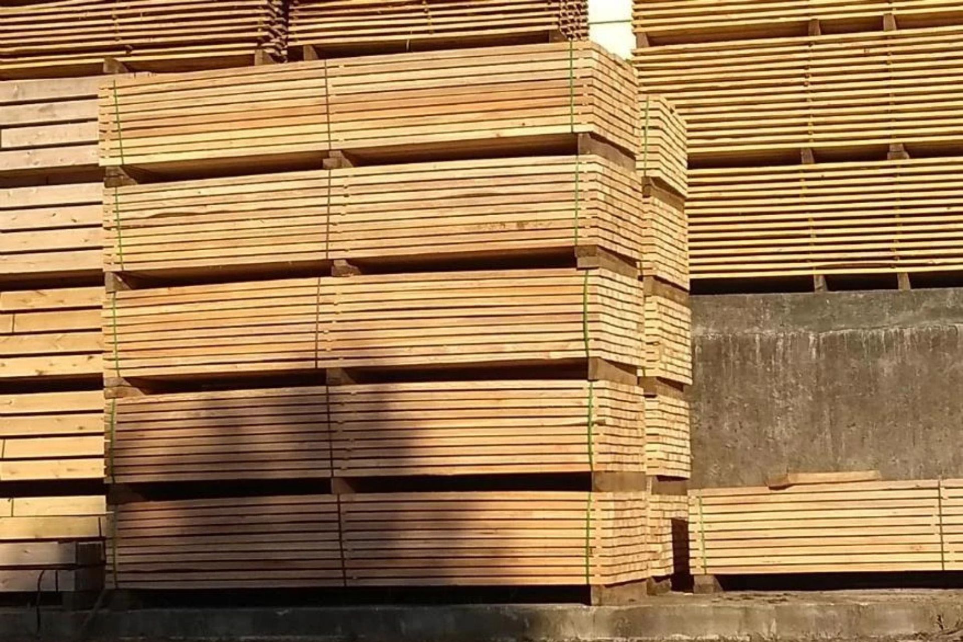 The Complete Guide on How to Choose the Ideal Wood for Pallet Manufacturing