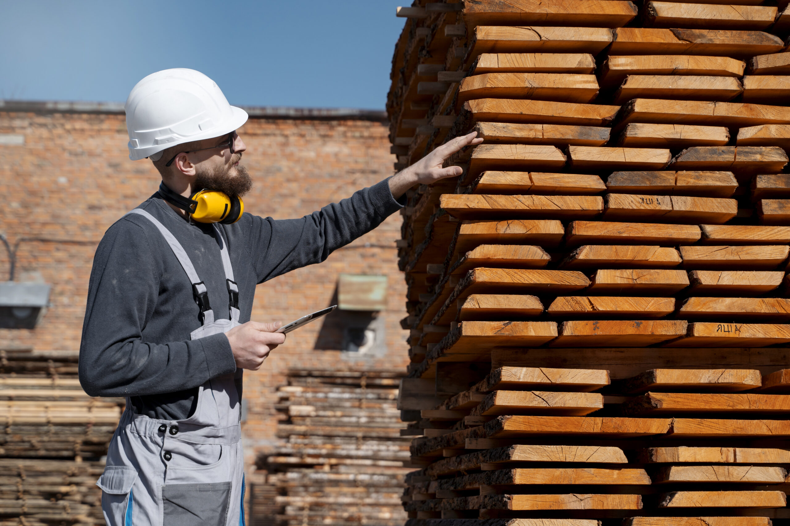 Brazilian Wood as an Investment: Enhance Your Projects with a Noble and Durable Material