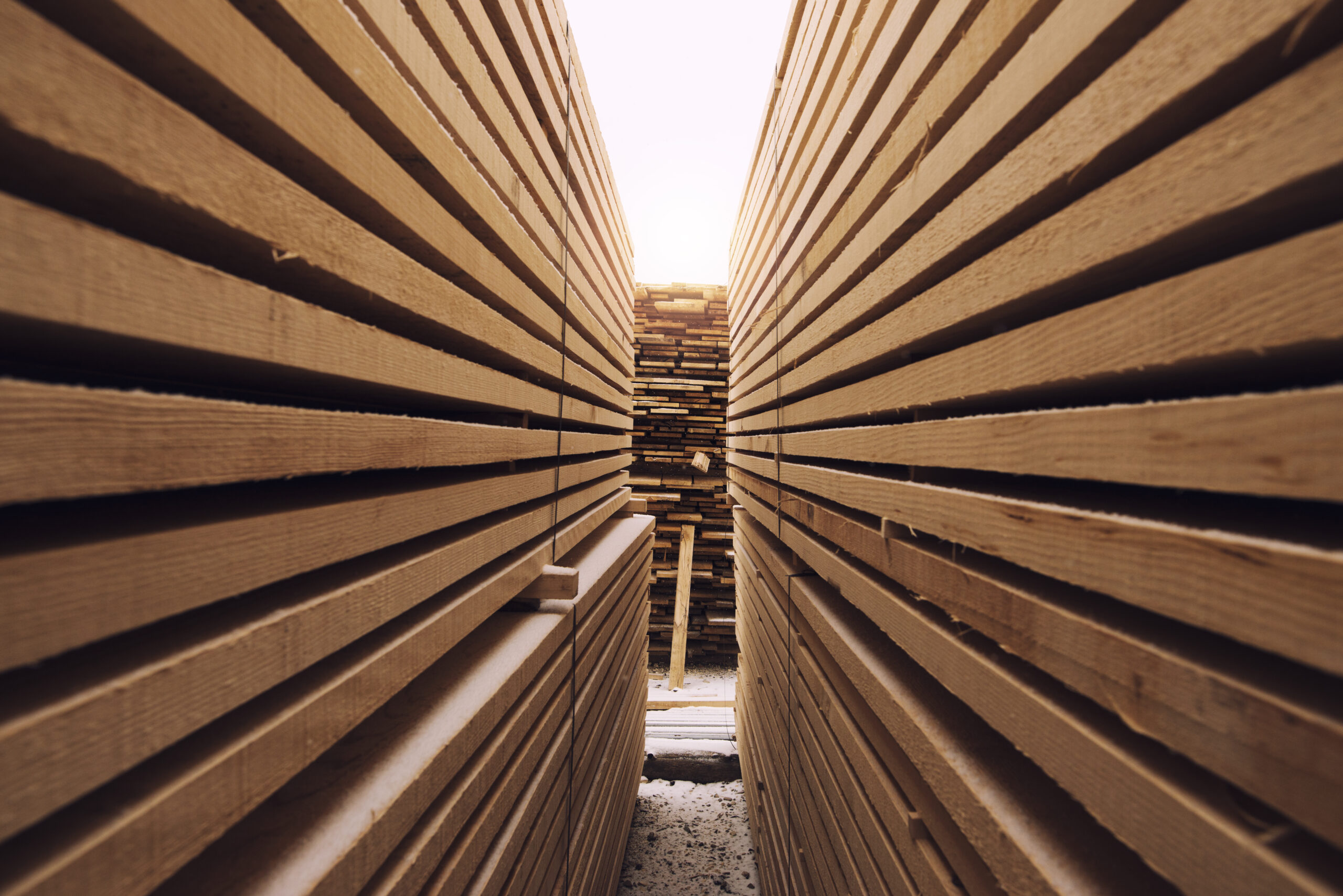 Cost Reduction and Operational Efficiency: Unlocking Success with SCF Global Trade’s Reforested Sawn Timber