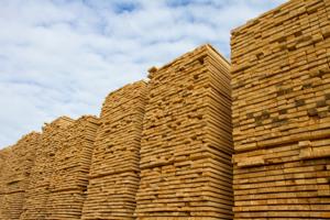 How Might Brazilian Exporters Benefit from the Tariffs on Canadian Softwood Lumber?