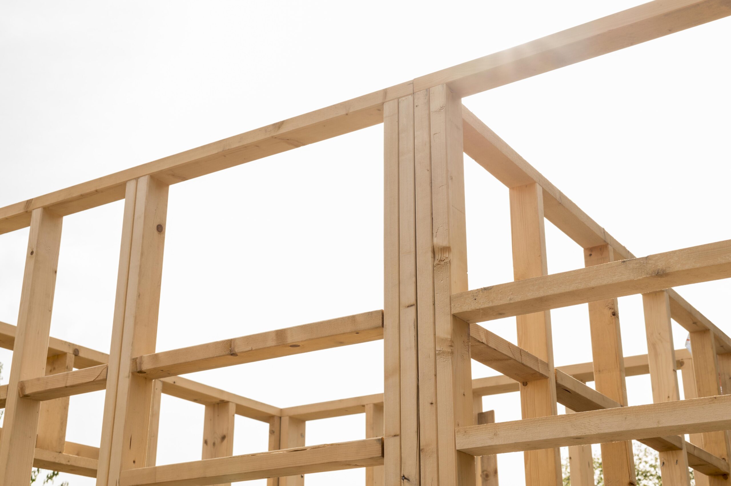 What Are the Most Popular Species of Lumber for Construction in 2025