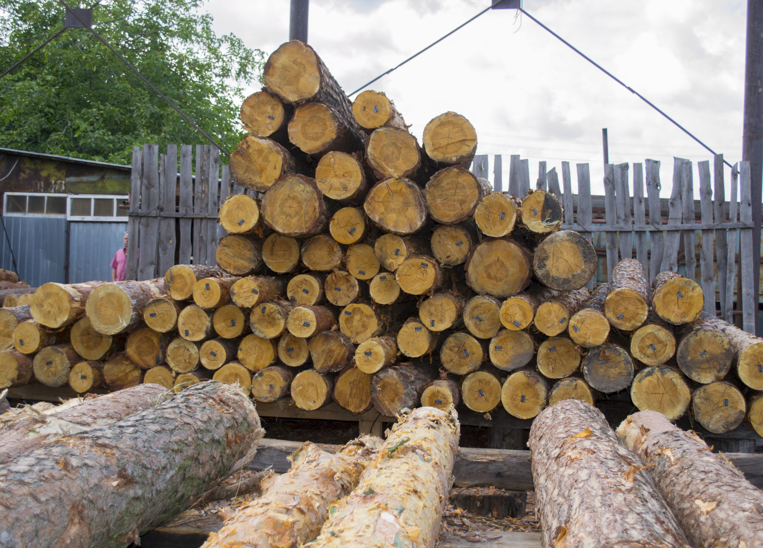 SCF Global Trade: Delivering Complete Timber Solutions