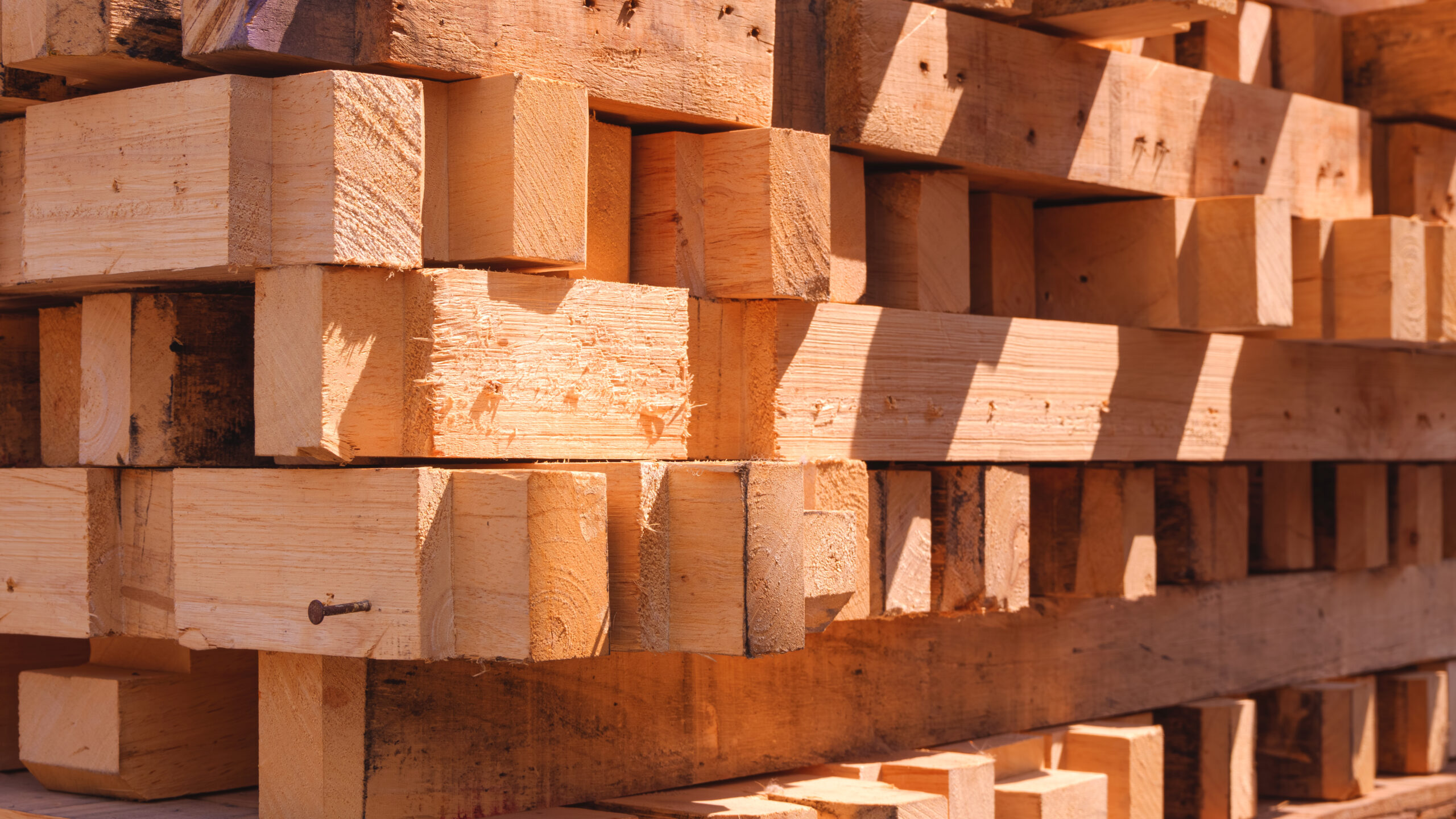 The Enduring Journey of a Wooden Pallet: A Look at Its Lifecycle and How to Extend Its Service