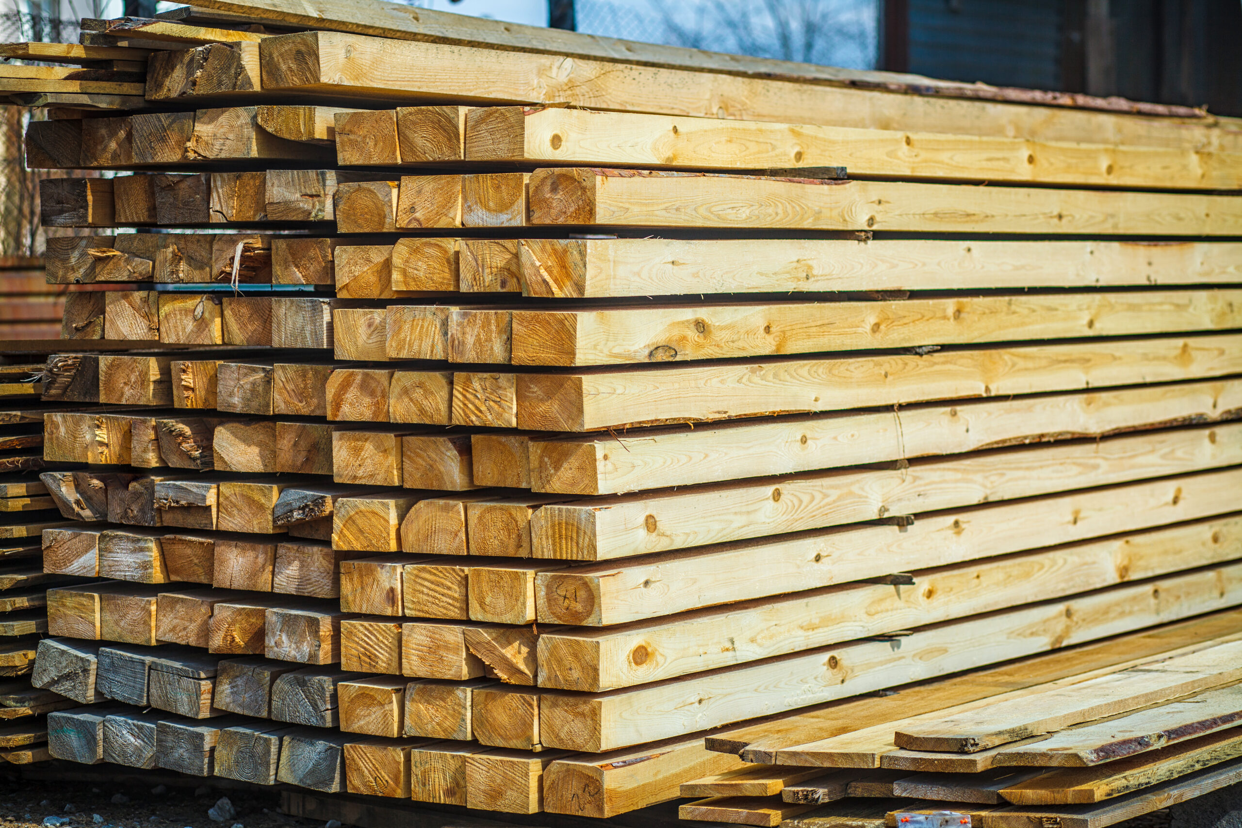 The Sustainable Backbone of Global Trade: Reforested Lumber Pallets and the Future of Efficiency