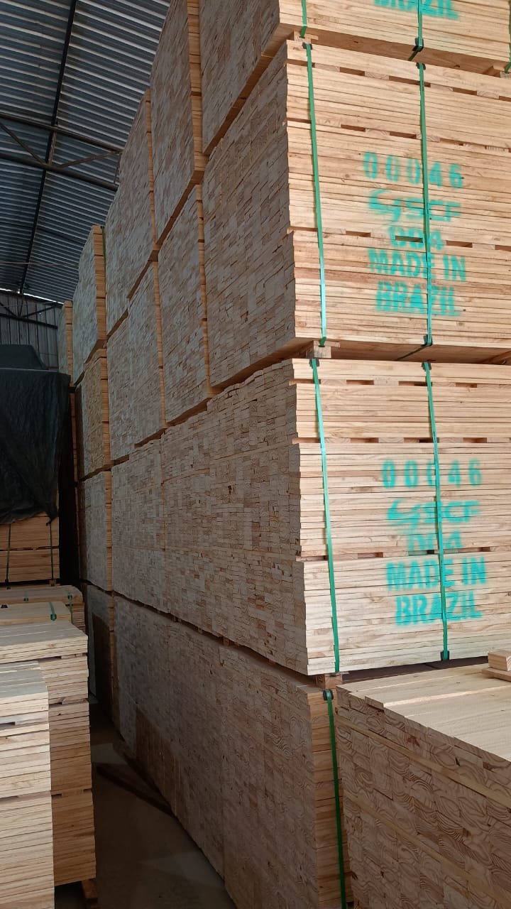 SCF Global Trade: Your Gateway to Premium Brazilian Reforested Timber – Quality, Sustainability, and Proven Delivery to the Middle East (Featuring Qatar Success)