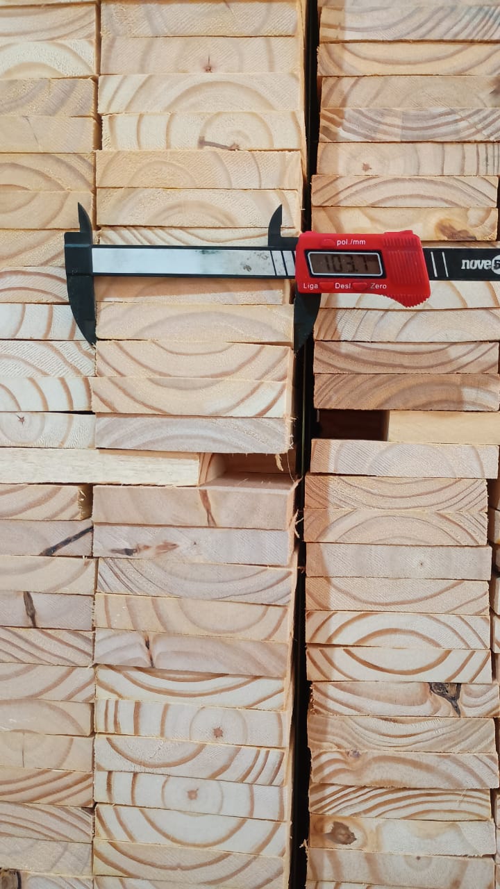 From Paraná’s Sustainable Forests to Qatar’s Visionary Projects: SCF Global Trade Delivers Excellence in Reforested Wood Exports